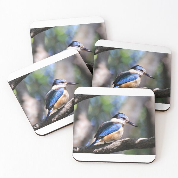 Item preview, Kingfisher looking for snacks designed and sold by BirdsAlive.