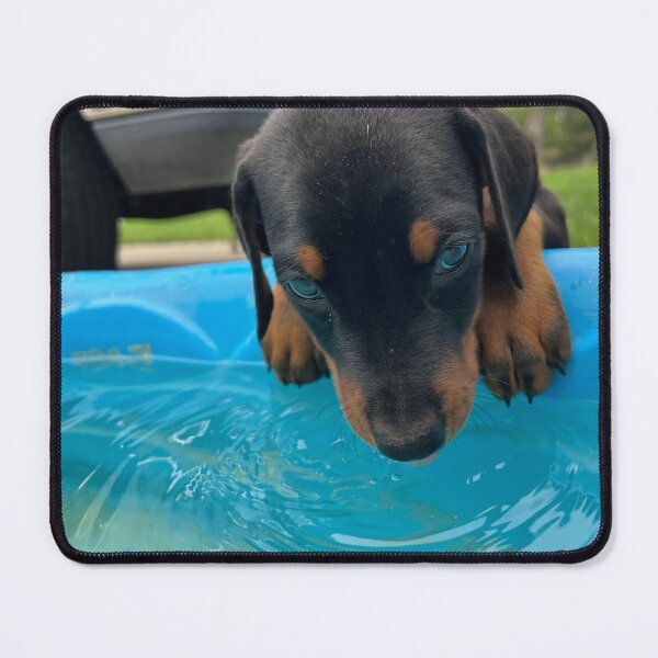 Item preview, Poolside Pup designed and sold by emmalynn7.