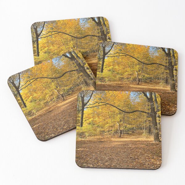 Item preview, Golden Path – Autumn Leaves in Sunlit Prospect Park Brooklyn designed and sold by jayfriedel.