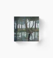 Shadows Acrylic Block