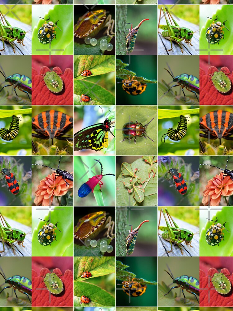 Thumbnail 4 of 4, iPhone Case, Colorful Insects Photo Collage designed and sold by ColorfulPrints.