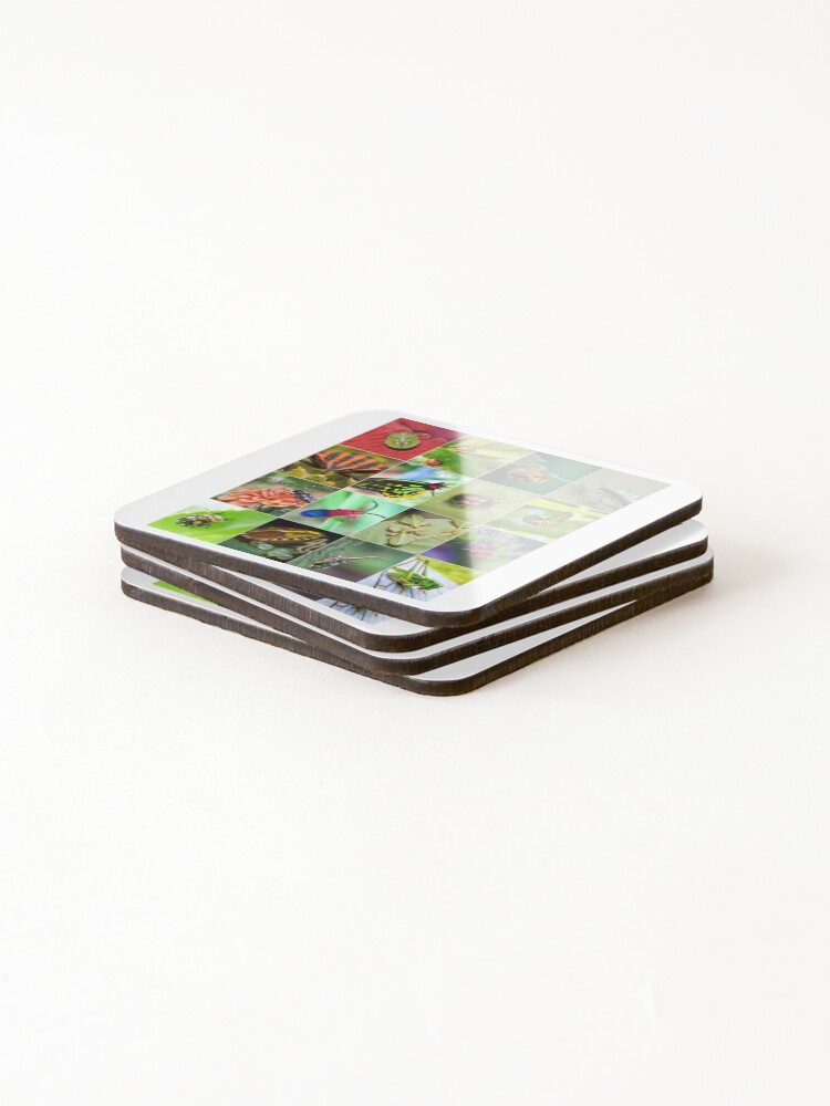 Thumbnail 4 of 5, Coasters (Set of 4), Colorful Insects Photo Collage designed and sold by ColorfulPrints.