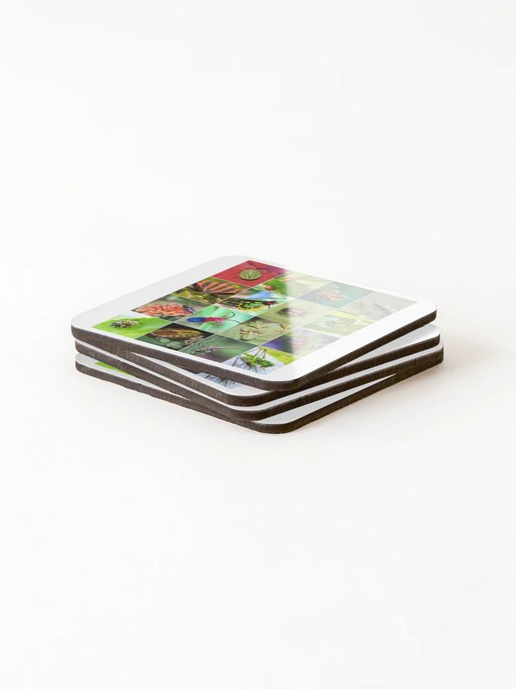 Thumbnail 4 of 5, Coasters (Set of 4), Colorful Insects Photo Collage designed and sold by ColorfulPrints.