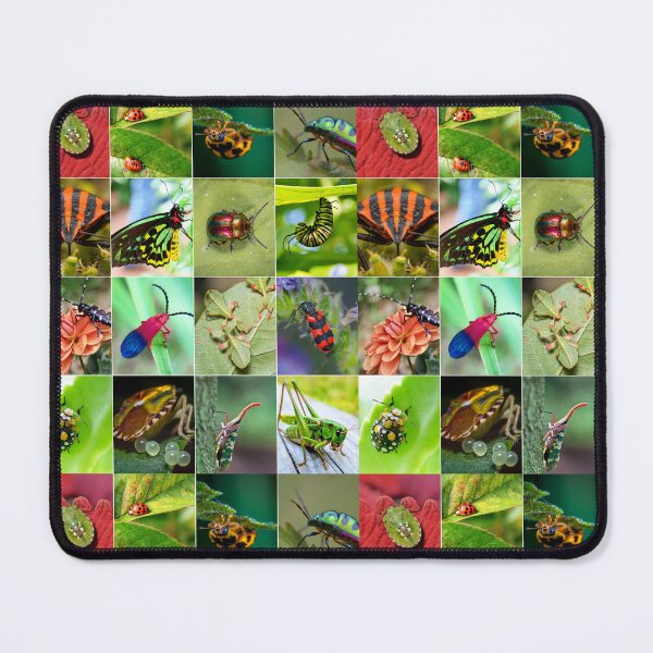 Item preview, Colorful Insects Photo Collage designed and sold by ColorfulPrints.