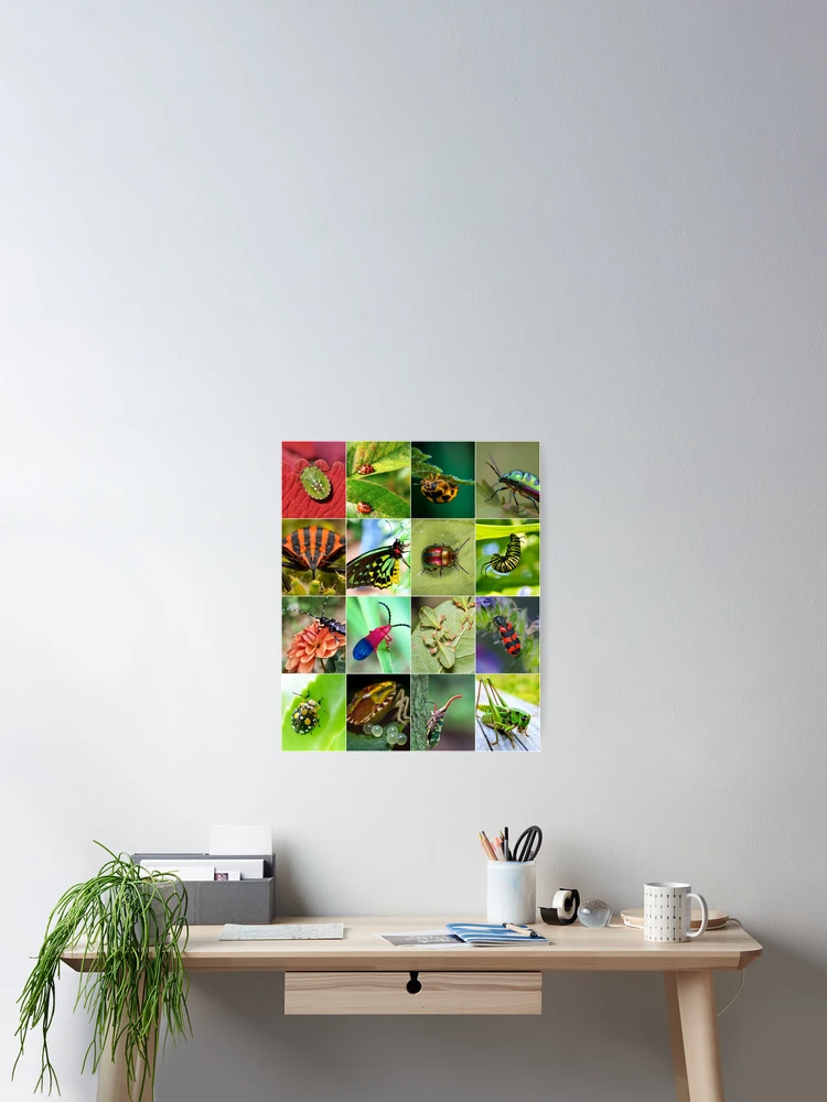 Thumbnail 2 of 3, Poster, Colorful Insects Photo Collage designed and sold by ColorfulPrints.