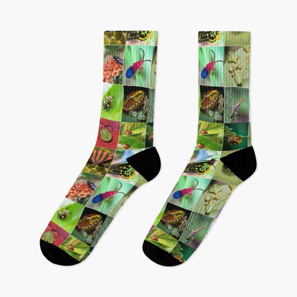 Item preview, Colorful Insects Photo Collage designed and sold by ColorfulPrints.
