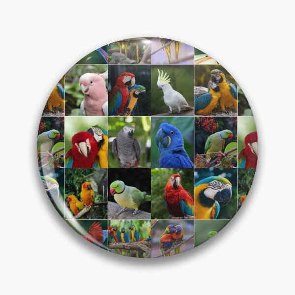 Item preview, Parrots Photo Collage designed and sold by ColorfulPrints.