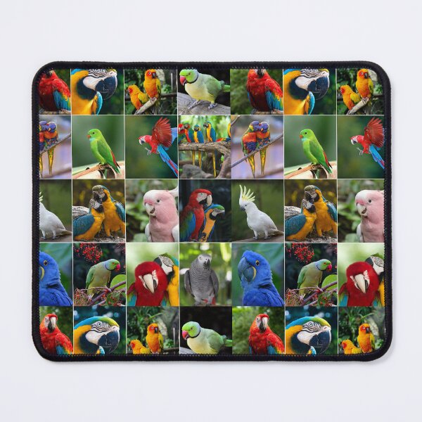 Item preview, Parrots Photo Collage designed and sold by ColorfulPrints.