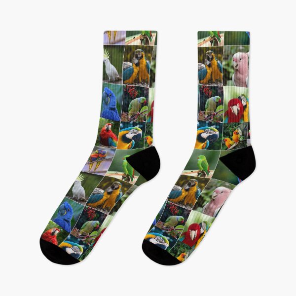 Item preview, Parrots Photo Collage designed and sold by ColorfulPrints.