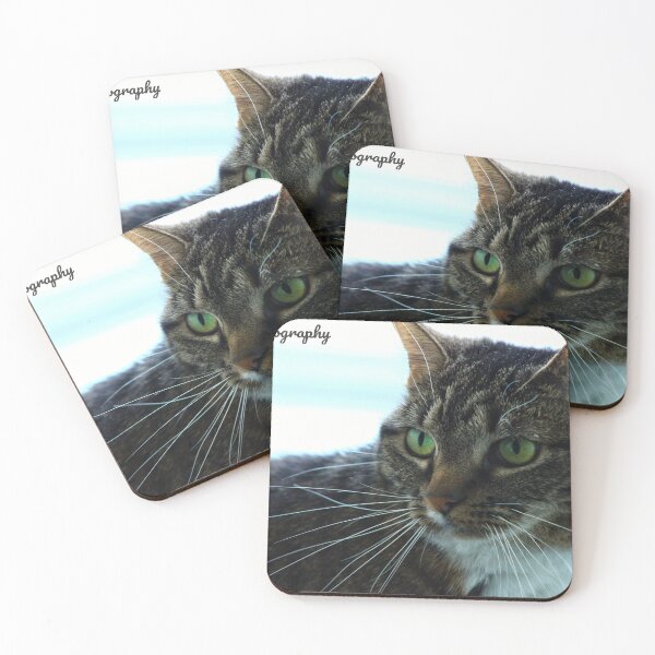 Item preview, close-up of a tabby cat  designed and sold by InezPhotography.