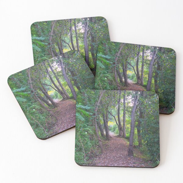 Item preview, Pathway in a forest designed and sold by InezPhotography.