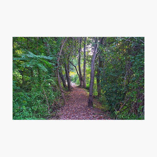 Item preview, Pathway in a forest designed and sold by InezPhotography.