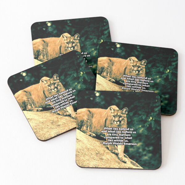 Item preview, What Lies Within US designed and sold by Emilyromrell.