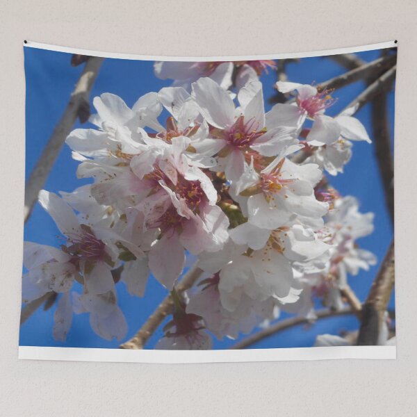 Item preview,  Fresh Cherry Blossoms designed and sold by InezPhotography.