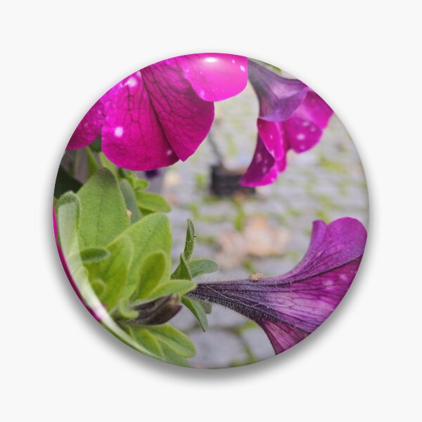 Artikelvorschau, Violette Blüte auf Kopfsteinpflaster entworfen und verkauft von Pepe2024.