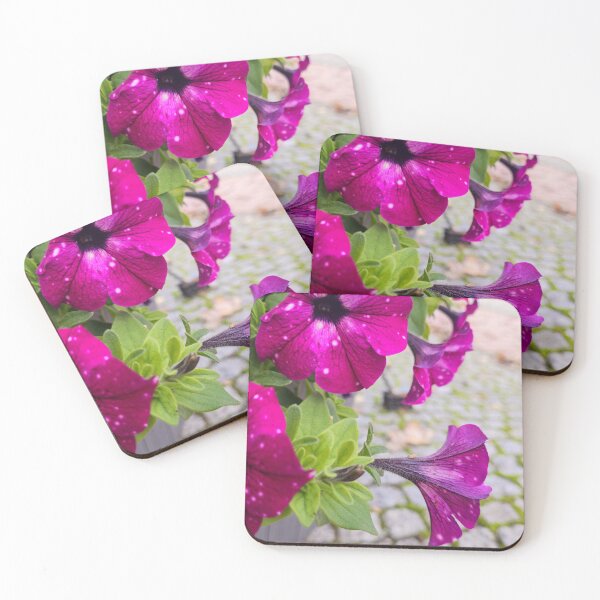 Item preview, Violet flower on cobblestones designed and sold by Pepe2024.