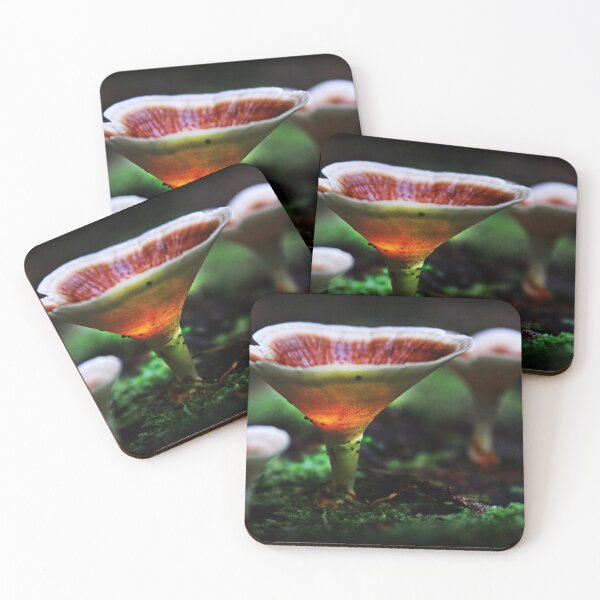 Item preview, Orange Braket Fungi designed and sold by myraj.