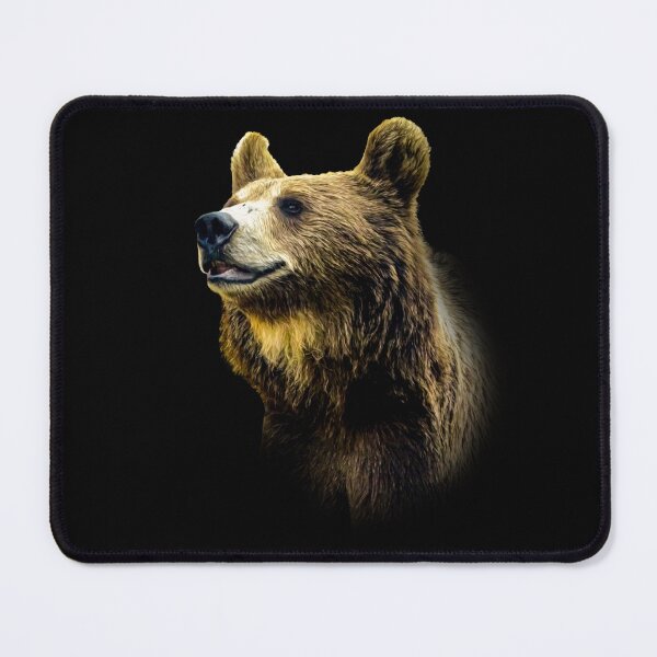 Item preview, Brown Bear designed and sold by Guardi71.