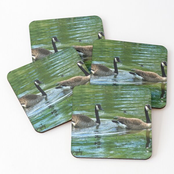 Item preview, Two geese swim side by side designed and sold by InezPhotography.