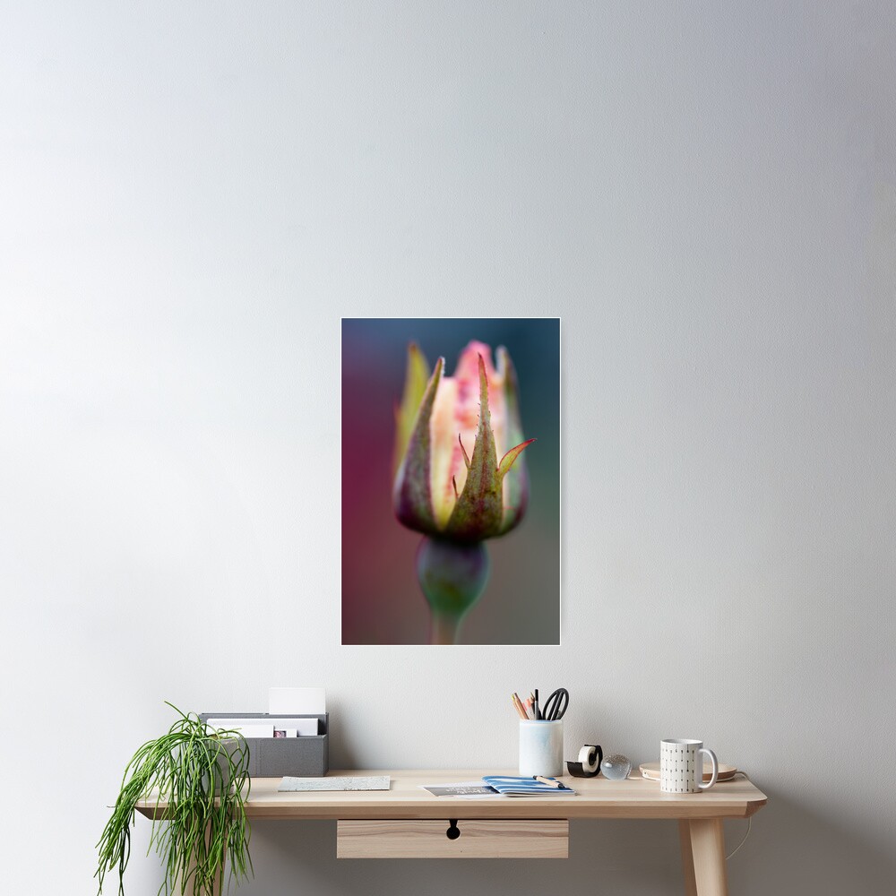 Rosebud Poster