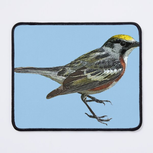 Item preview, Chestnut-sided Warbler  Color Design  designed and sold by designsasstultd.