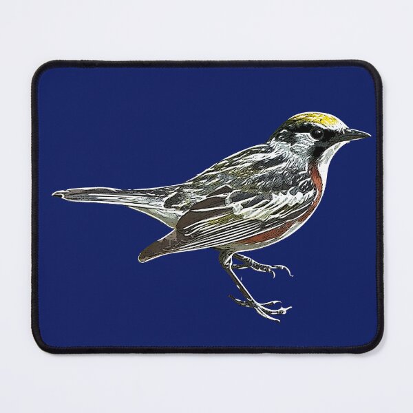 Item preview, Chestnut-sided Warbler White Alternate Design  designed and sold by designsasstultd.
