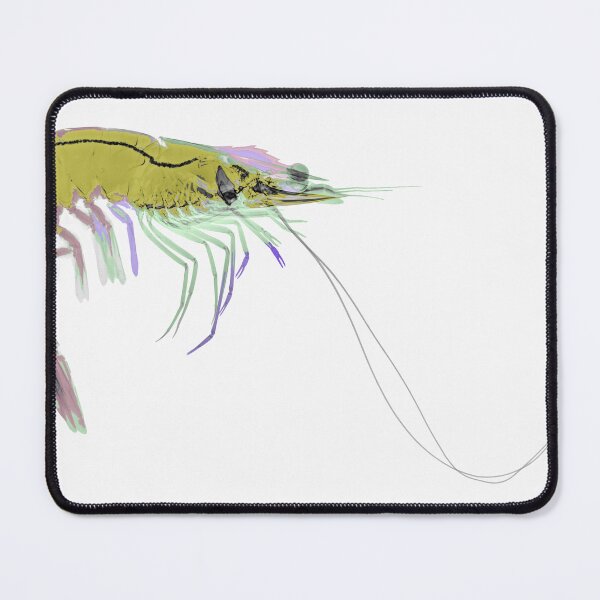 Item preview, Prawn designed and sold by Paul Cessford.