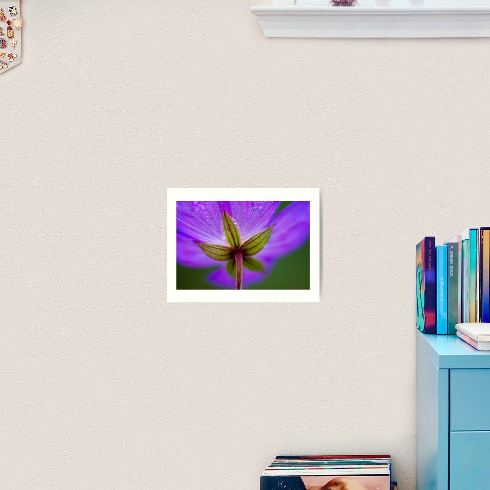 Unknown Flower Art Print