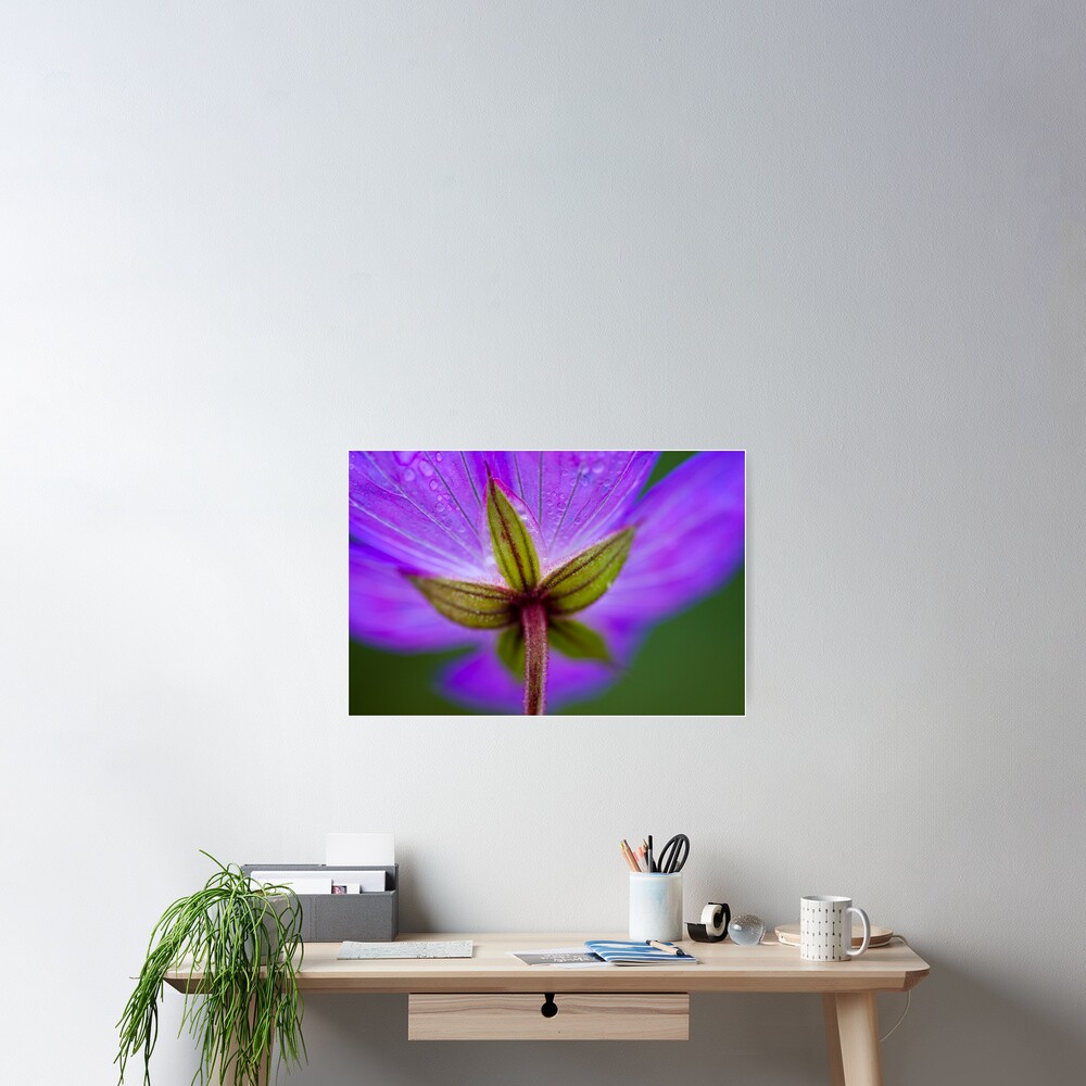 Unknown Flower Poster