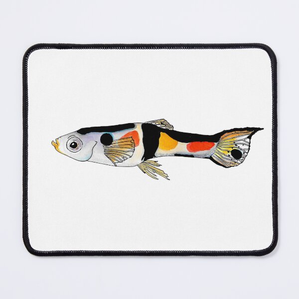 Item preview, Trinidadian Guppy designed and sold by LittleClayFrog.