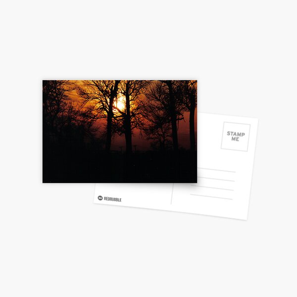 Fire in the Sky Postcard