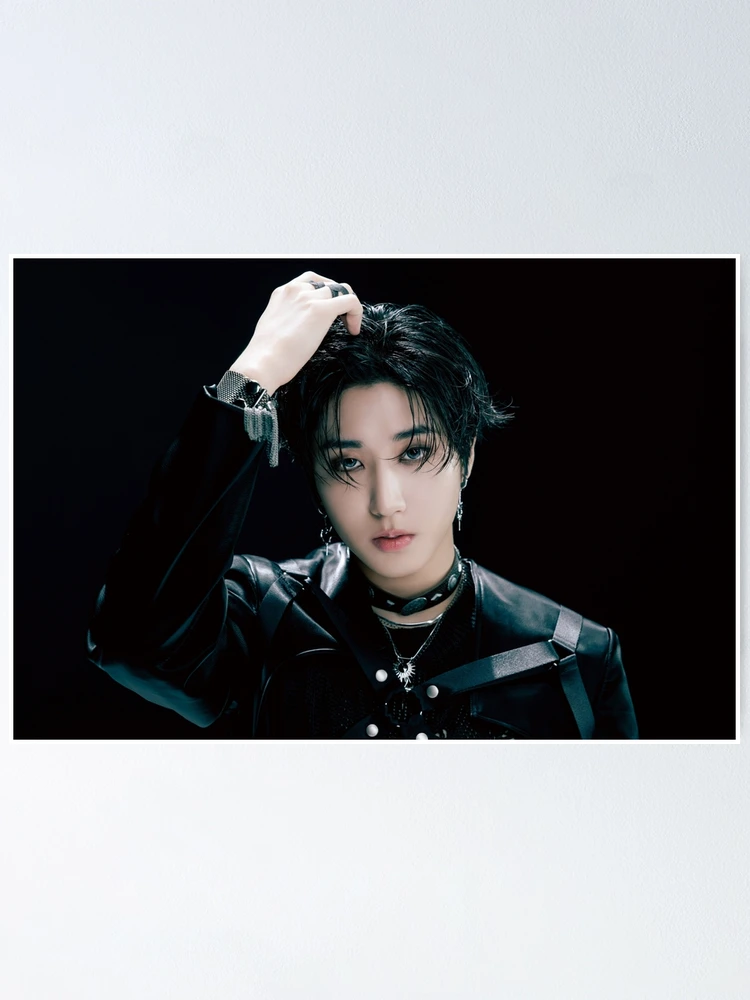 Stray Kids HAN まとめ売り fposter,small,wall_texture,