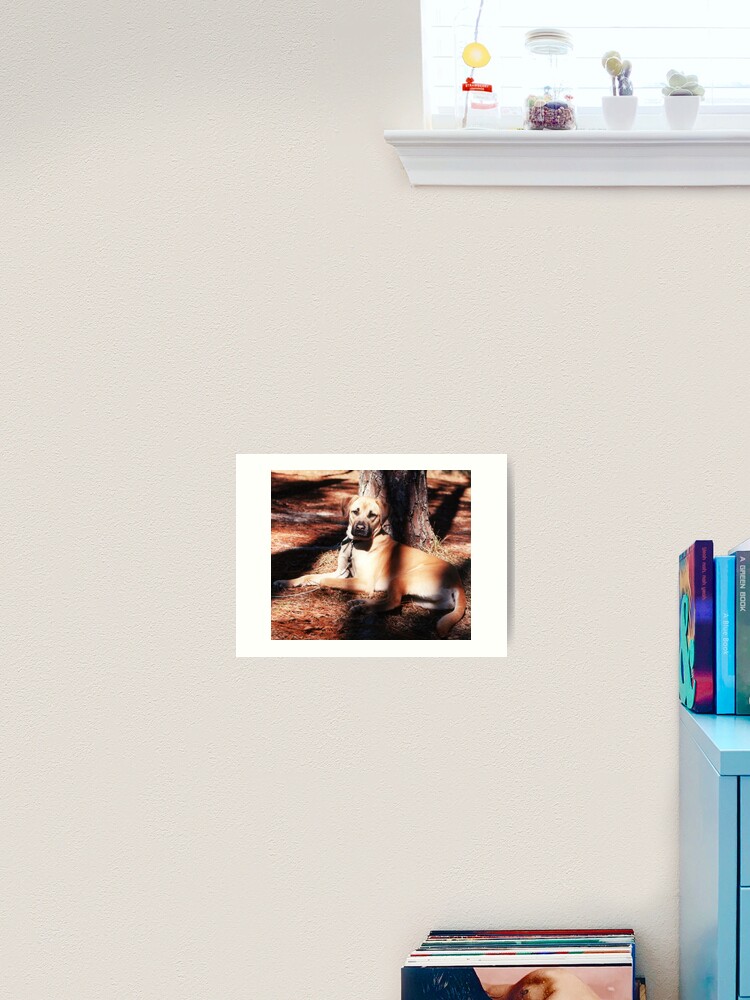 Thumbnail 2 of 3, Art Print, Diesel the Rhodesian Ridgeback designed and sold by Blaze66.