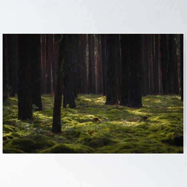 Item preview, forest light floor. designed and sold by DerLaden.Art.