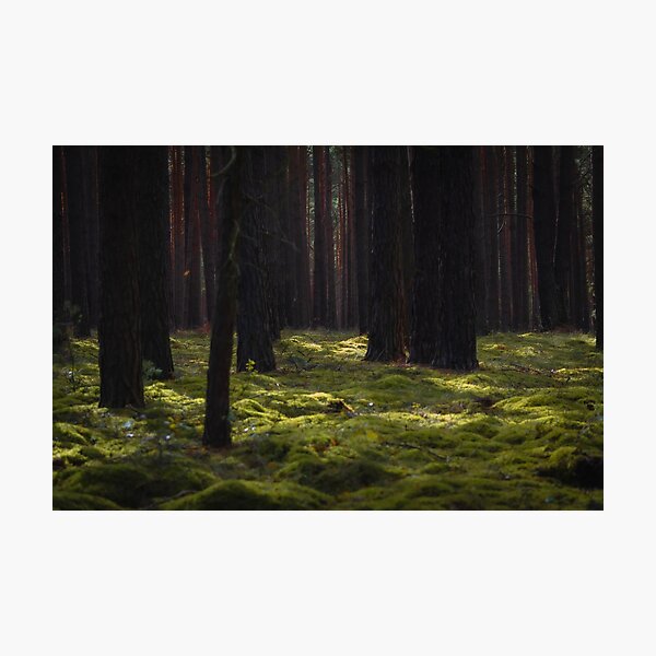Artikelvorschau, Waldlichtboden. entworfen und verkauft von DerLaden.Art.