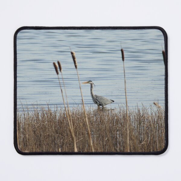 Item preview, Wading Grey Heron Donegal Ireland designed and sold by eddiebarronshop.