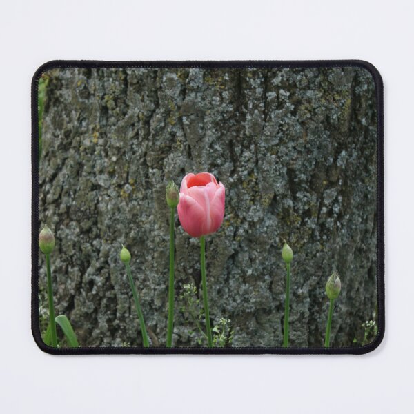 Item preview, Tulipanes en Dublín. designed and sold by Lettie Cronje-Steyn.