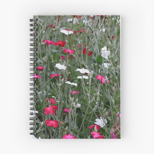 Item preview, Flowers Pink and White Ireland designed and sold by Lettie Cronje-Steyn.