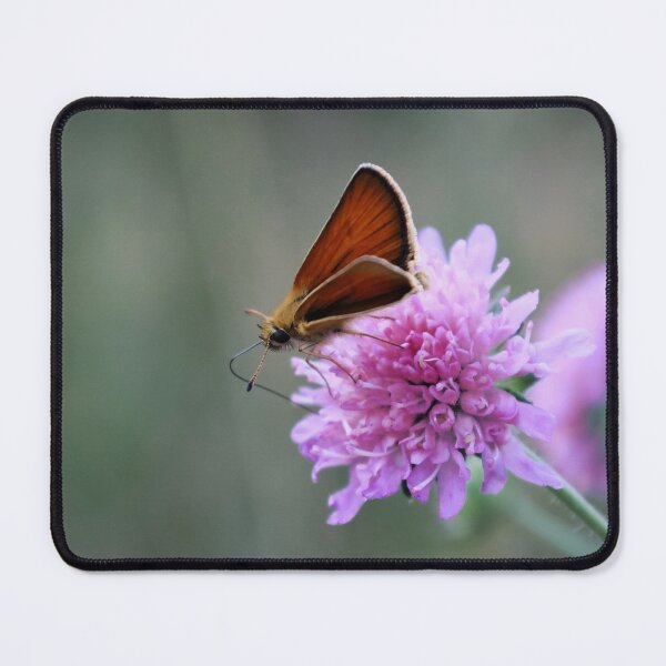 Aperçu de l'œuvre Papillon sur une fleur créée et vendue par Smiley-things.