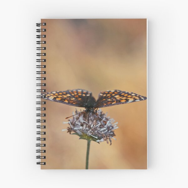 Item preview, Butterfly sitting on a flower  designed and sold by Smiley-things.