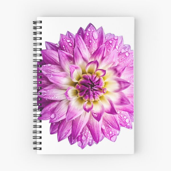 Item preview, Dalia rosa con gotas de lluvia designed and sold by MZukoPhoto.