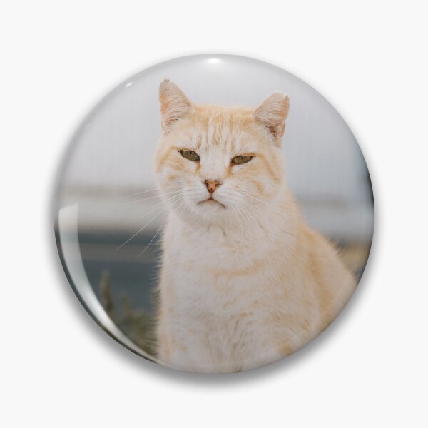 Item preview, Lanzarote Cat - Design By SmileMoreAgain. designed and sold by SmileMoreAgain.