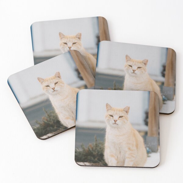 Item preview, Lanzarote Cat - Design By SmileMoreAgain. designed and sold by SmileMoreAgain.