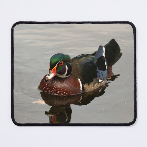 Item preview, Wood duck in fall designed and sold by locustgirl.