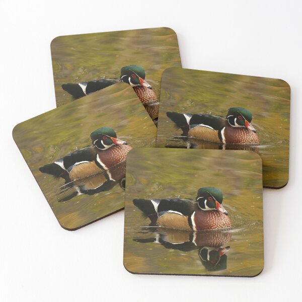 Item preview, Handsome wood duck designed and sold by locustgirl.