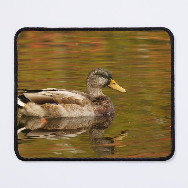 Item preview, Mallard designed and sold by locustgirl.