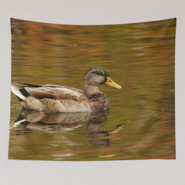 Item preview, Mallard designed and sold by locustgirl.