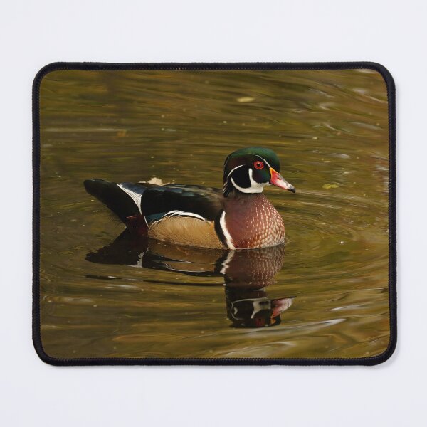 Item preview, Autumn wood duck designed and sold by locustgirl.