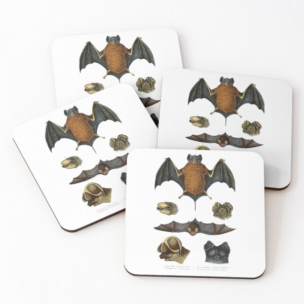 Item preview, 19th C. Bat Species  designed and sold by historicimage.