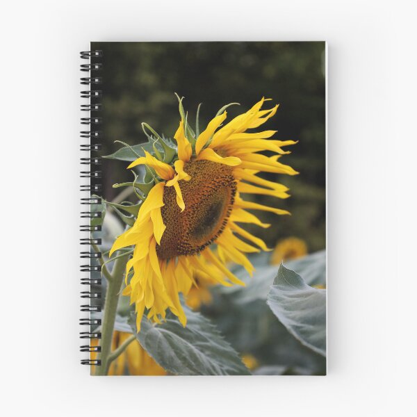Artikelvorschau, Sonnenblume entworfen und verkauft von Smiley-things.